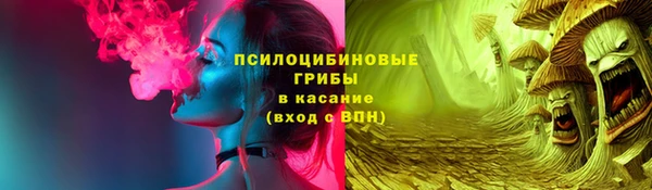 трава Гвардейск