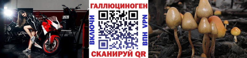 Галлюциногенные грибы мицелий  Новая Ладога 